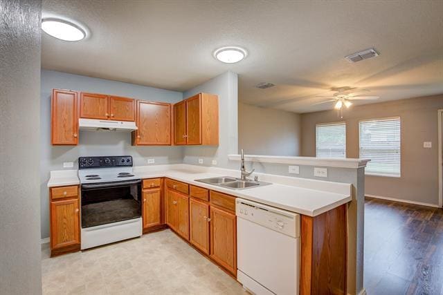 Building Photo - 705 Poncho Ln