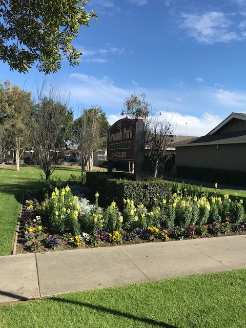 Primary Photo - Normandy Park Apartments