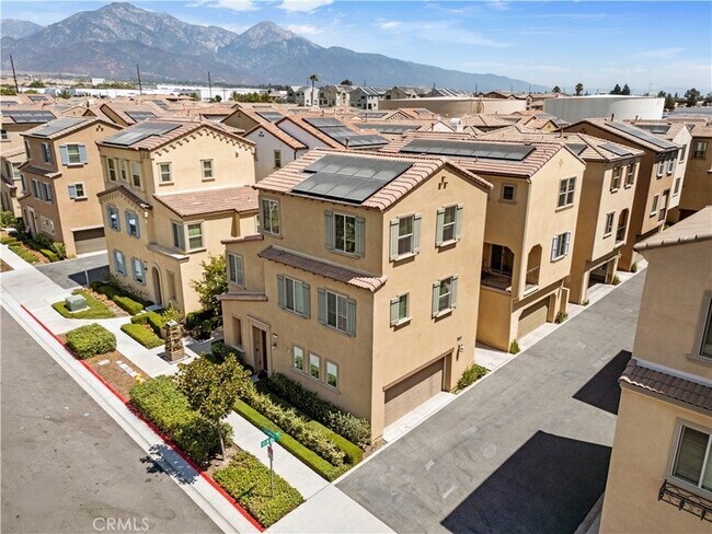 Building Photo - 2265 Apple Ct
