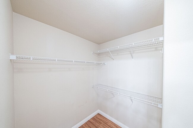Building Photo - 10243 Midnight Glow Ct