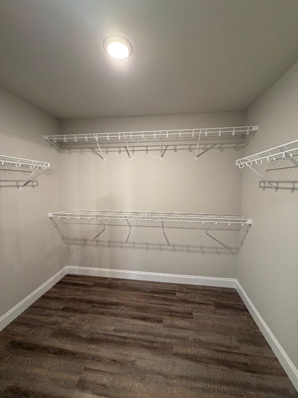 Building Photo - 2615 Parkers Mdw Ln