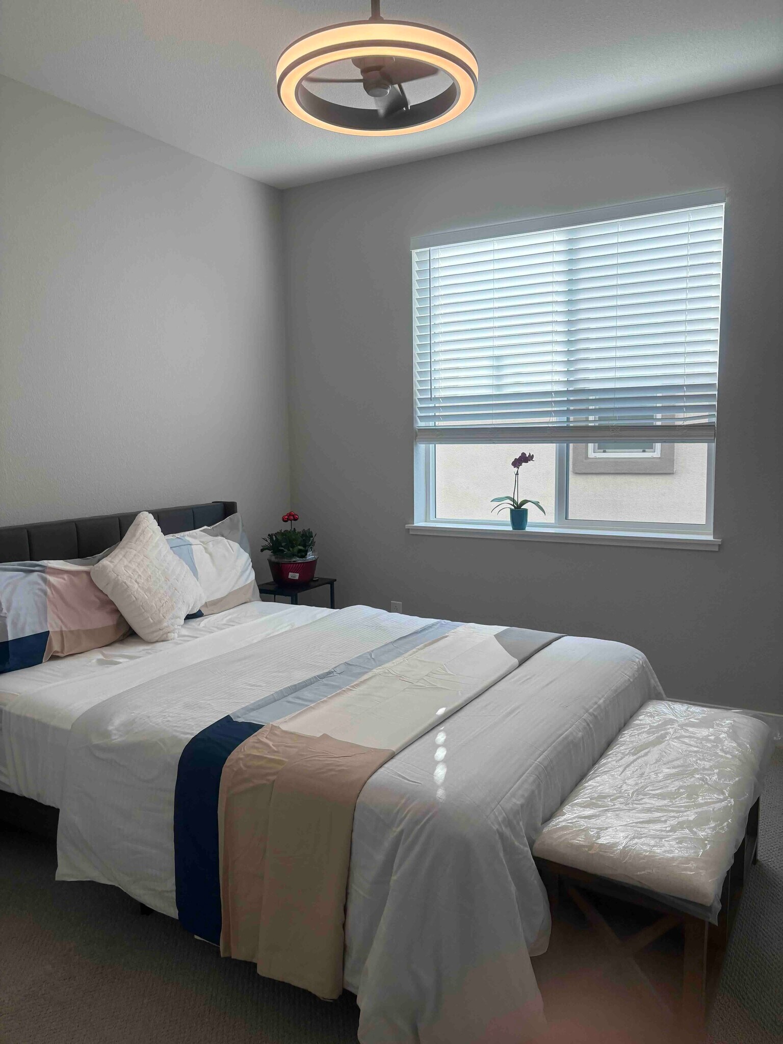 Building Photo - 2850 Lumin Ct