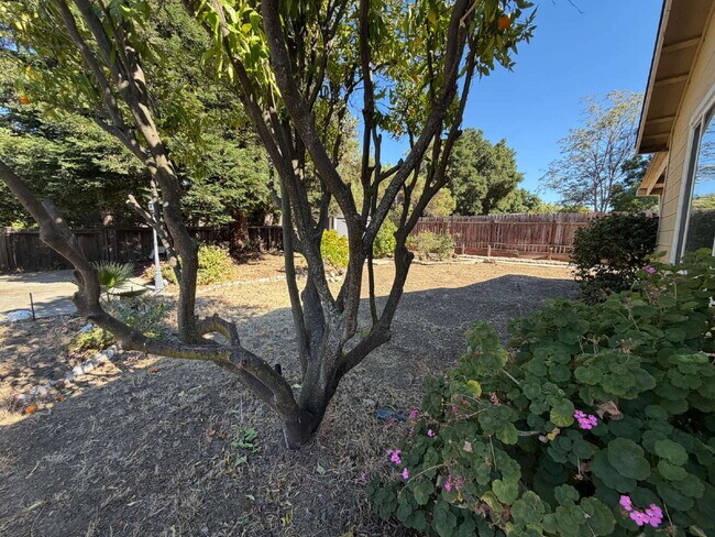 Building Photo - Charming 3-Bedroom Martinez Home with Cozy Fireplace & Spacious Living!