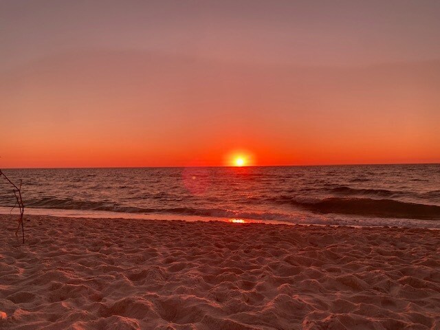 Building Photo - 519 Roma Ct