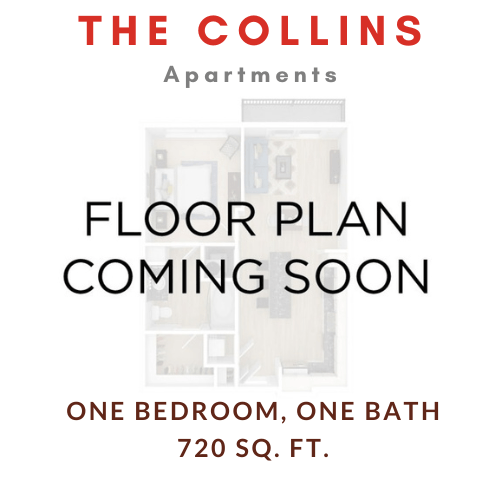 Floorplan - The Collins