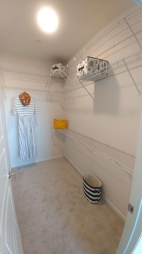 Building Photo - Your New Sanctuary Awaits!