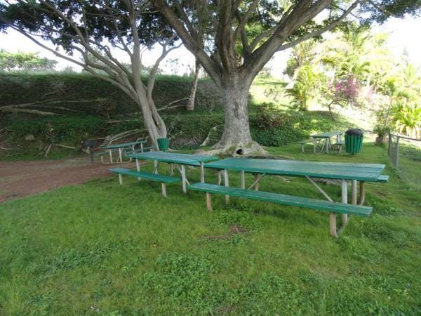 Building Photo - 1060 Kamehameha Hwy