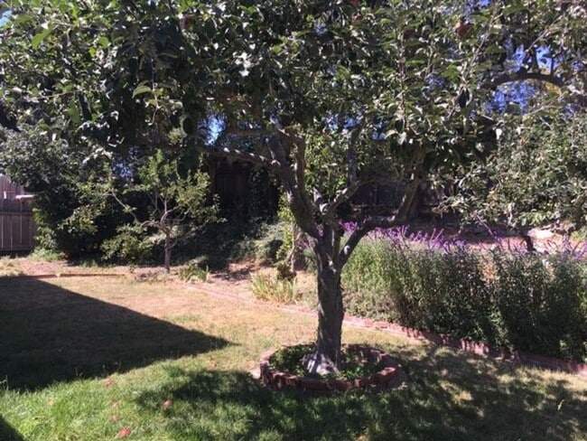 Building Photo - 62 Young Dr