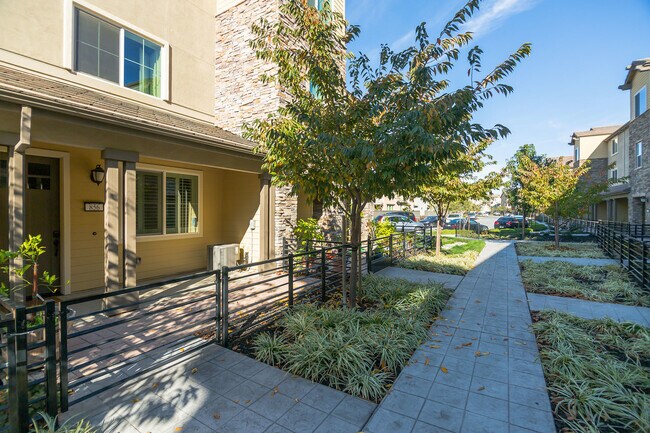 Front Entrance - 856 White Moonstone Loop