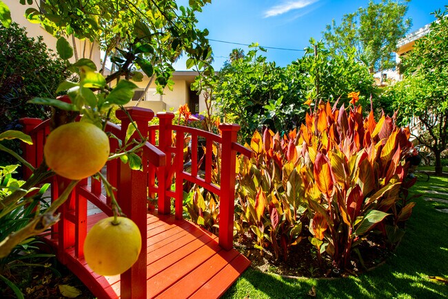 Lemon tree & Bridge - 848 17th St