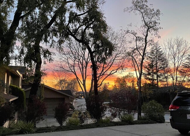 Building Photo - 100 Normandy Ct