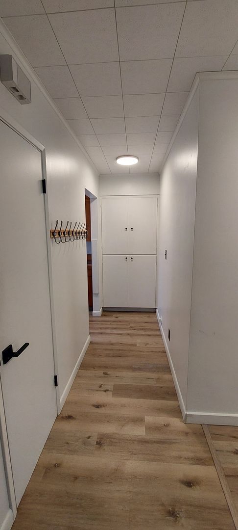 Building Photo - Lovely Apartment in Sehome