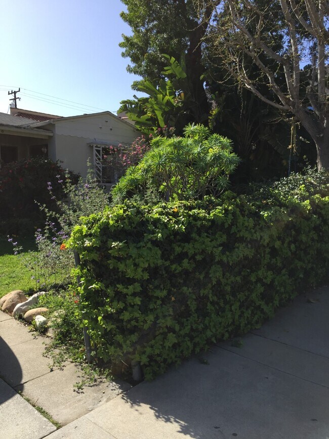 front yard - 1640 Berkeley St