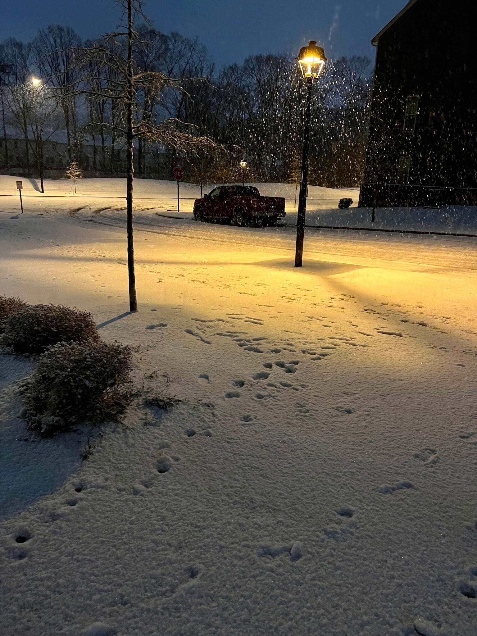 Street in Snow - 4014 Audubon Park Dr