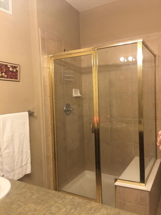 master bath with walk in shower - 2947 W Riverwalk Cir