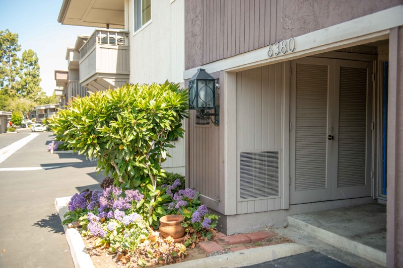 Building Photo - 6380 Caminito Telmo