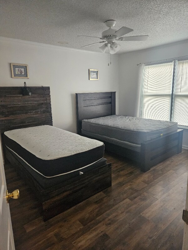 Building Photo - 536 Shadow Moss Dr