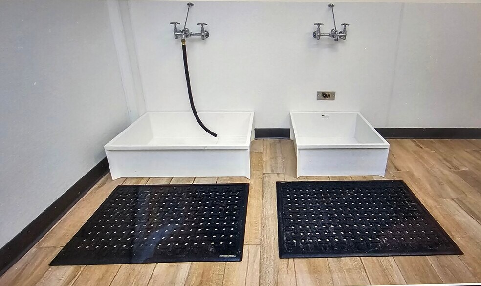 Pet Bathing - 383 Commercial St