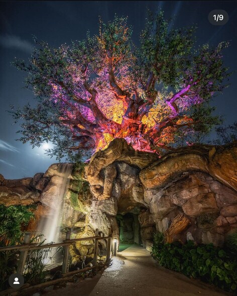 Building Photo - 421 Burma St