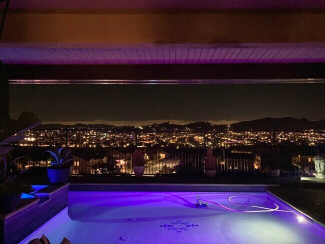 Backyard view at night - 24734 Silver Stone Ct