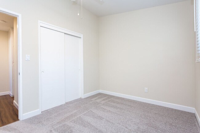 Building Photo - Newly updated Single-Story in Clairemont