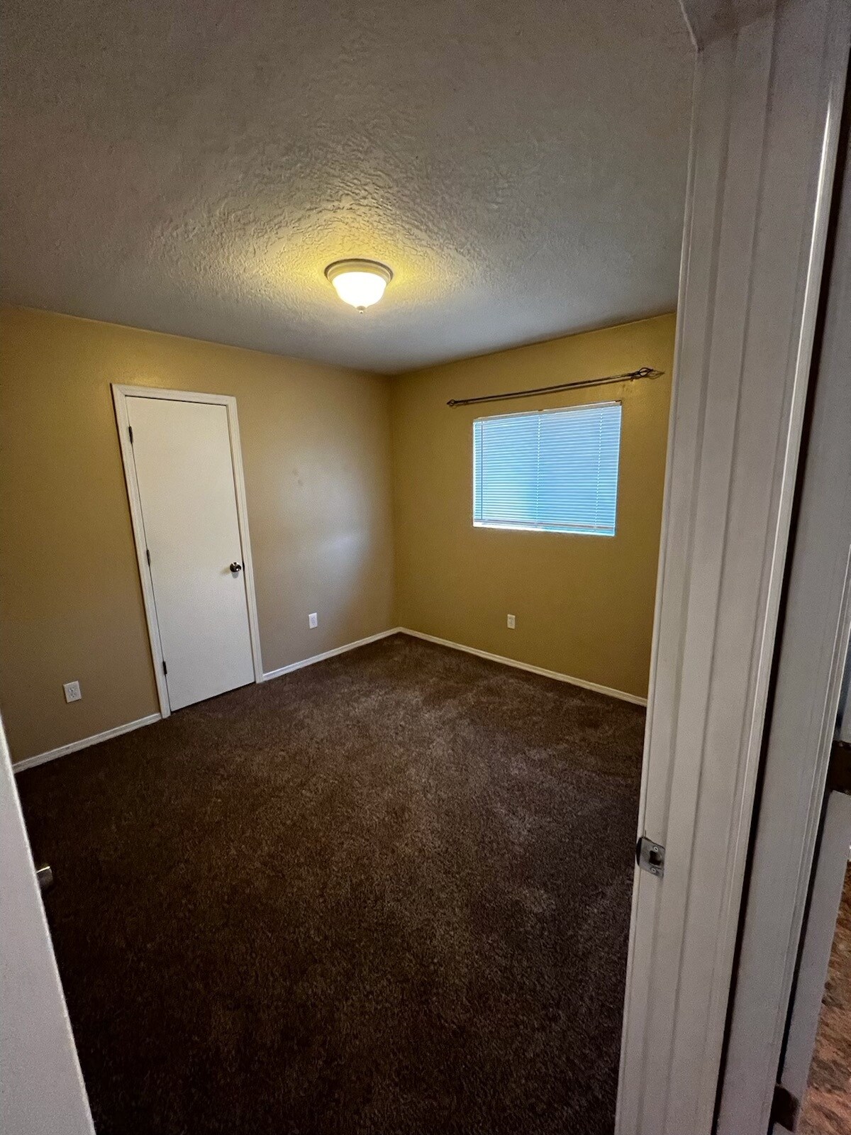 Building Photo - 337 Gorman Ave