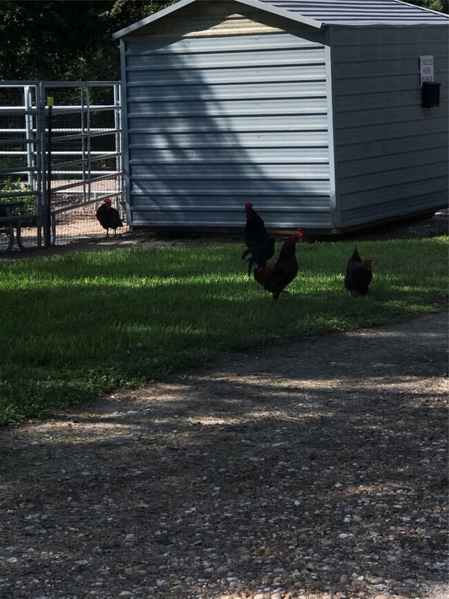 Building Photo - 2443 Precinct Line Rd