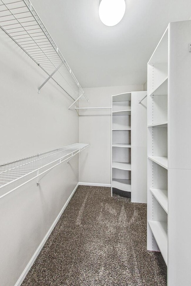 Building Photo - 1686 Buckingham Dr