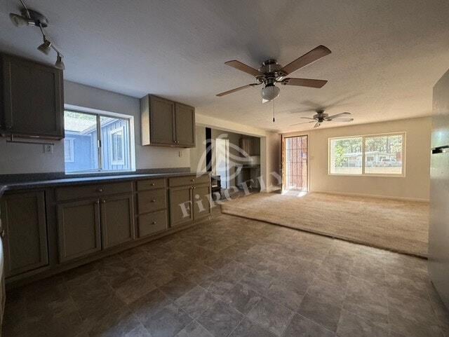 Building Photo - 2058 Pinehaven Ln