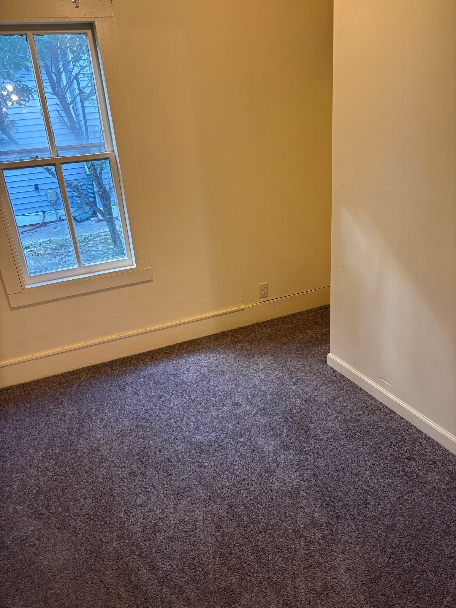 Lower bedroom - 632 Blair Ave