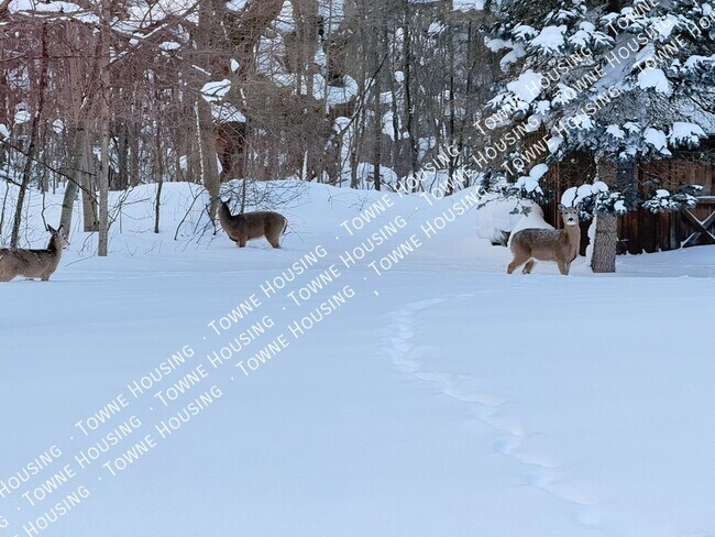 Building Photo - 13573 Schang Rd