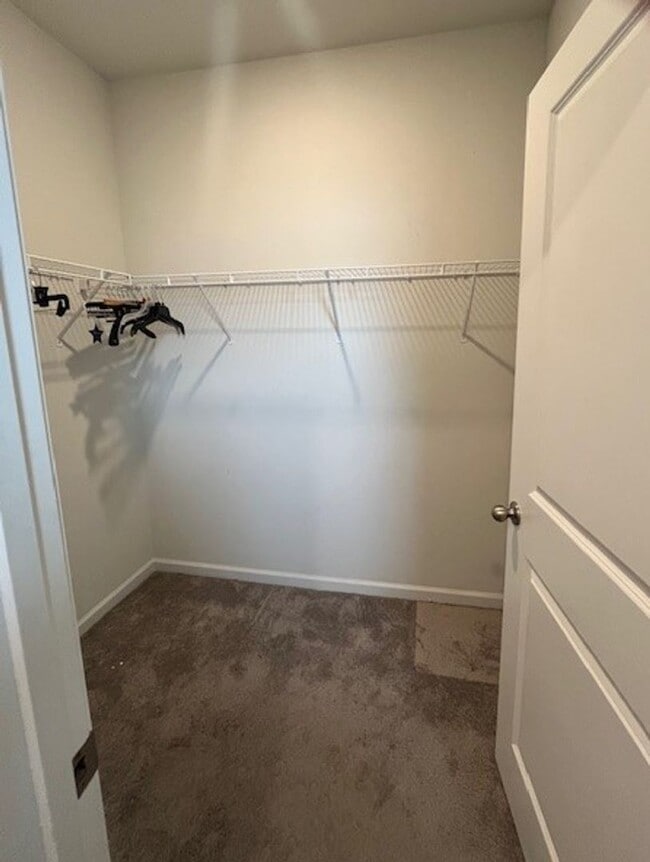 Building Photo - Stunning, Pet Friendly Home!