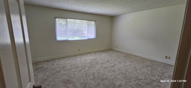 Building Photo - Orcutt Single Story Recently Updated Home with Large Yard