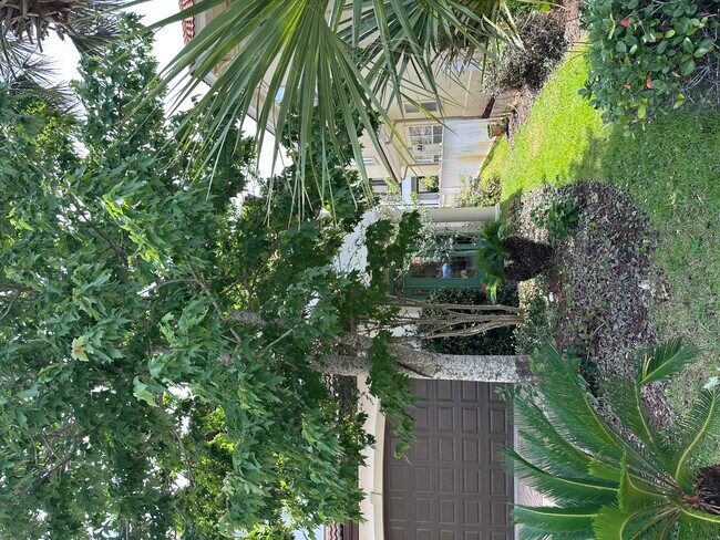 Building Photo - 231 Calusa Blvd