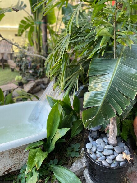 Cold plunge - Shared courtyard with four other bungalows - 2918 Pacific Ave
