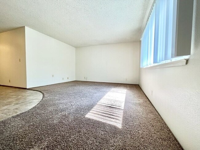 Interior Photo - 417 Orange St