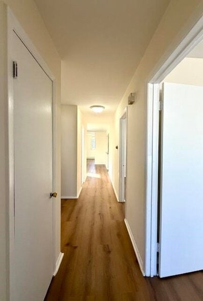 Building Photo - 71 Linnet St