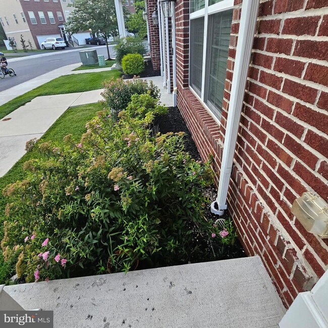 Building Photo - 107 Kramer Ct