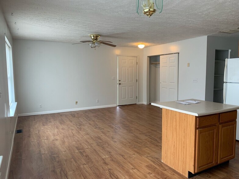 Living Room - 225 Railroad St