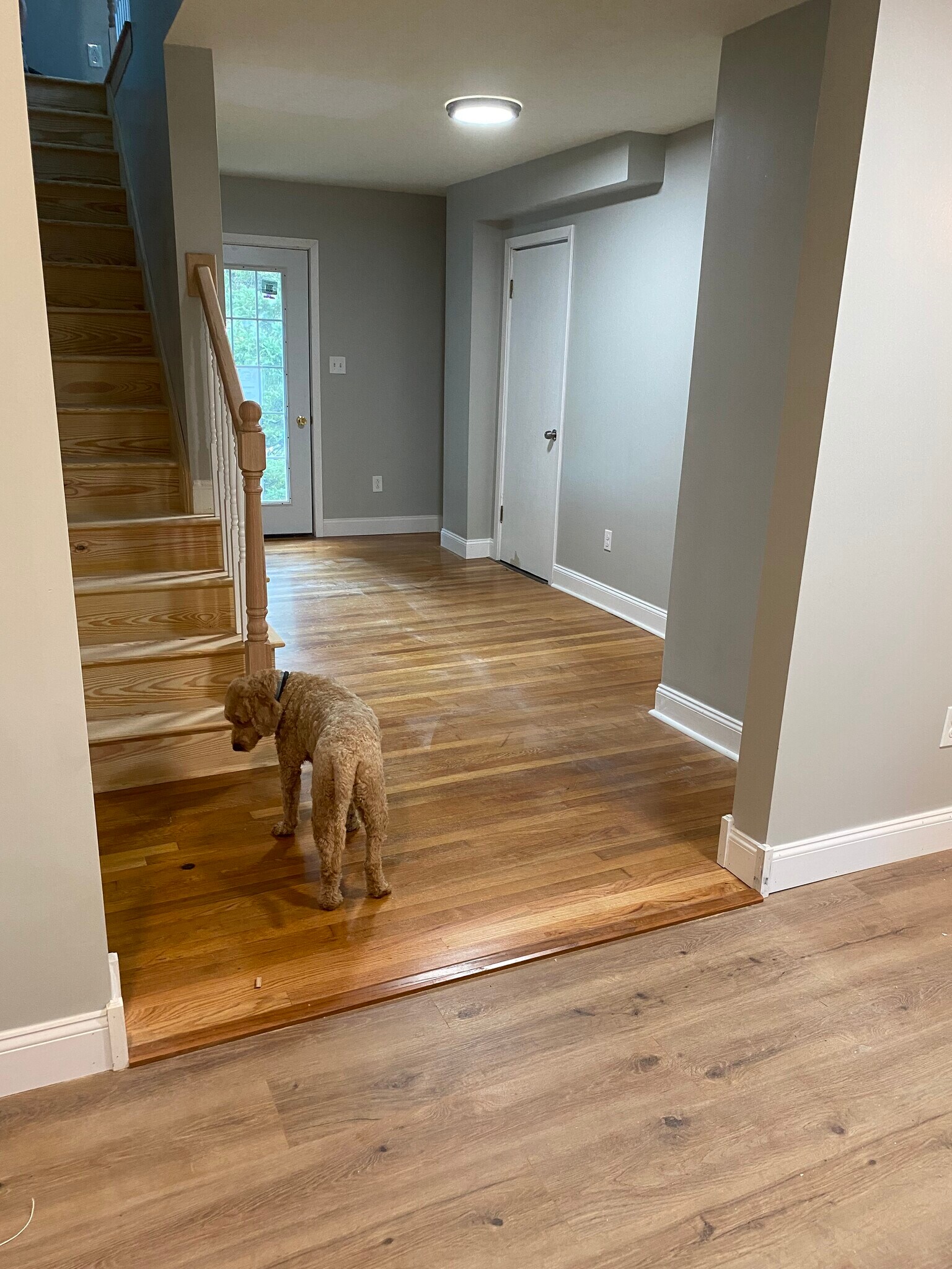 Dog not included :) - 3054 S Pike Ave
