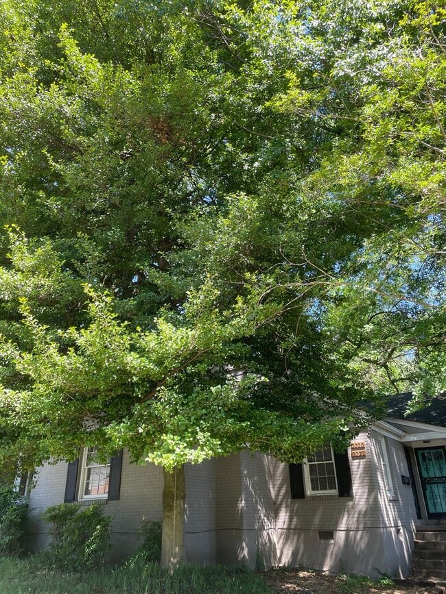 Building Photo - 2 bedroom 1 bath in Midtown near Peabody and Cooper