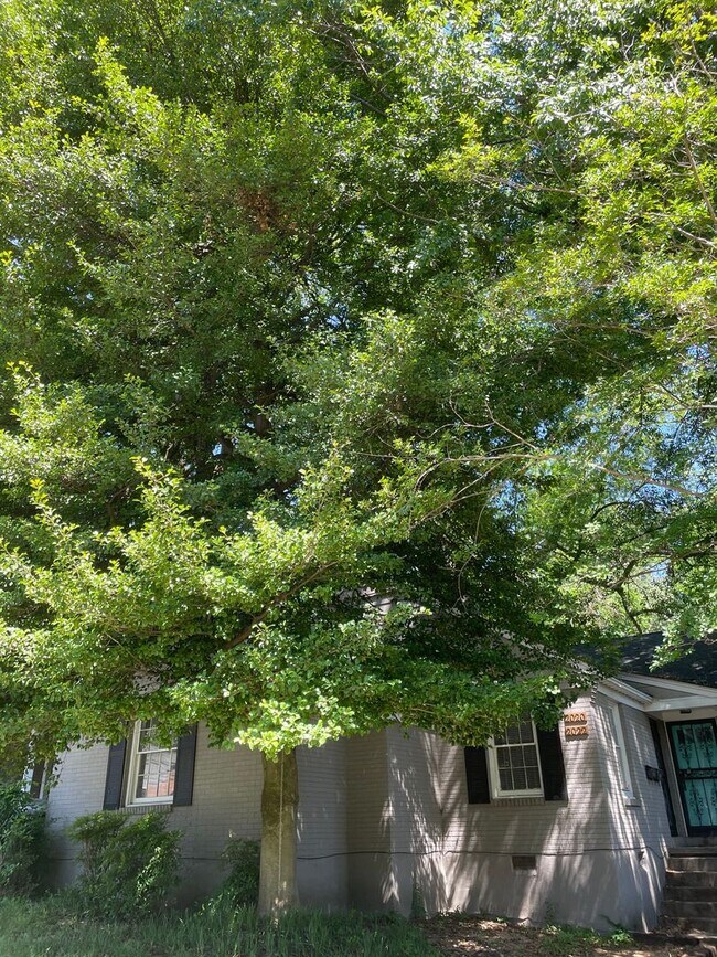 Building Photo - 2020 Courtland Pl