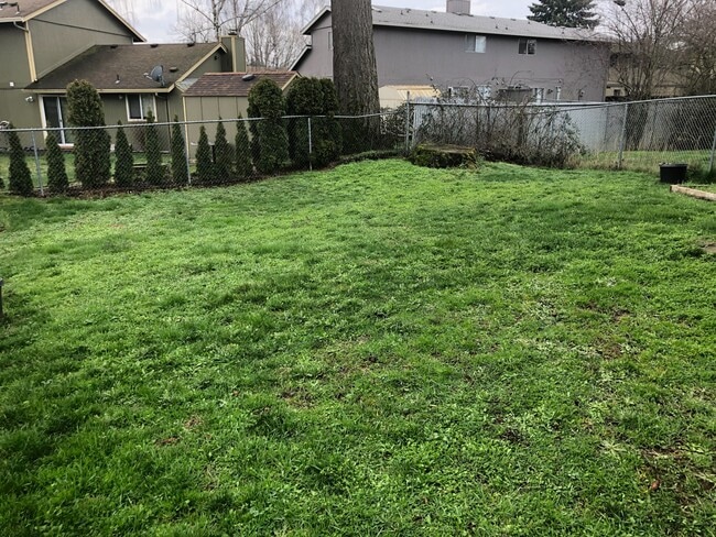 backyard - 14725 SE 16th Cir