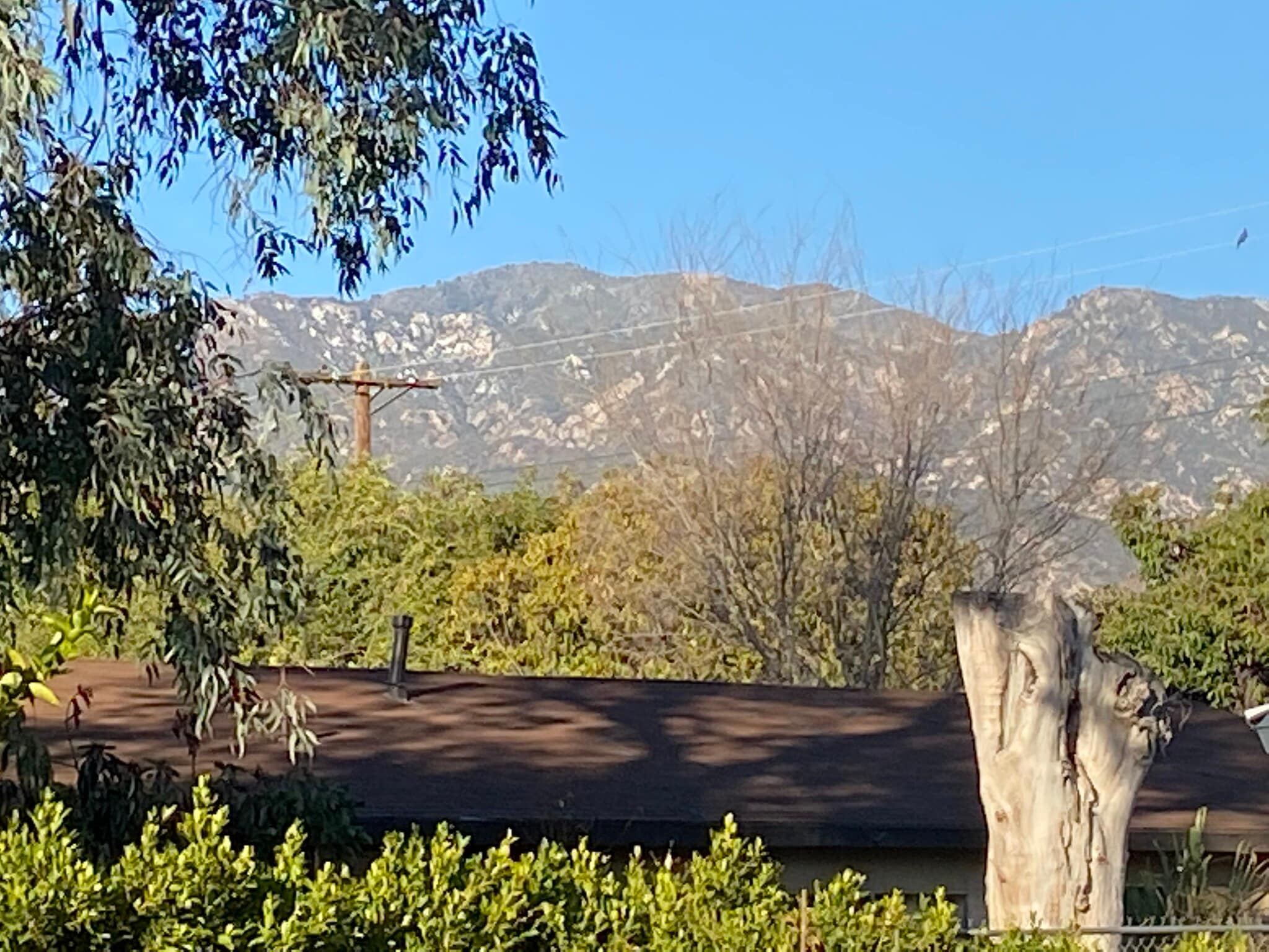 Building Photo - 1826 Lincoln Ave