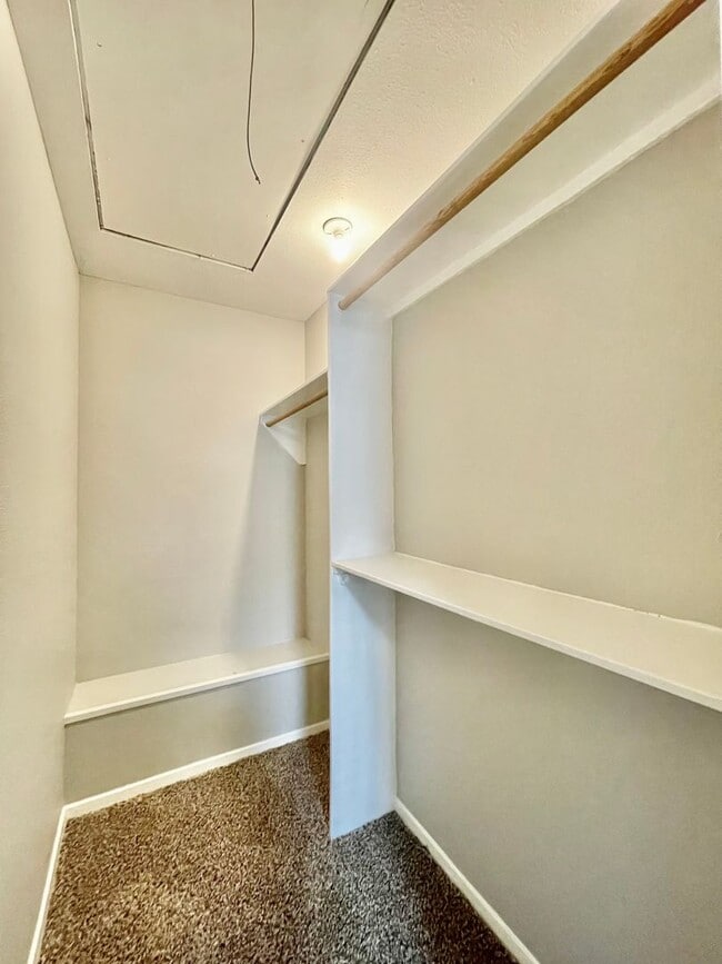 Building Photo - 903 Allen St