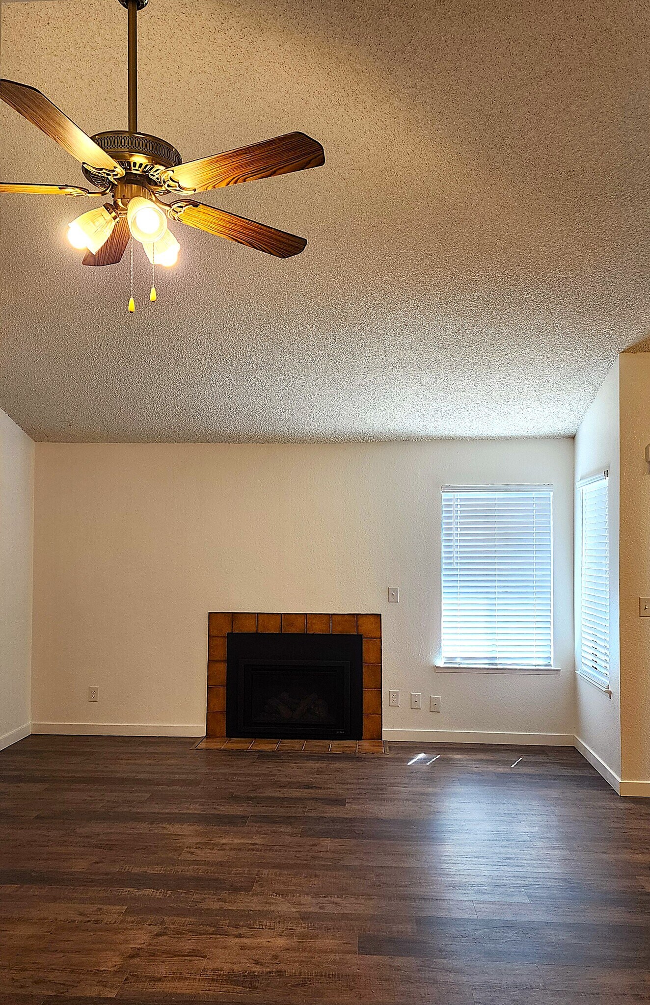 Living Room 1 - 4617 N Charles Ave