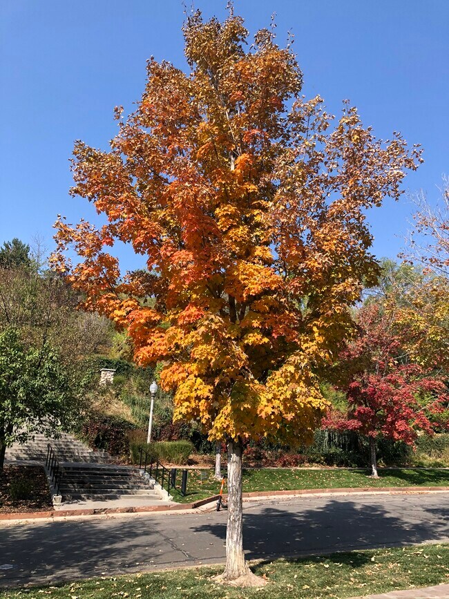 Building Photo - 214 N Canyon Rd