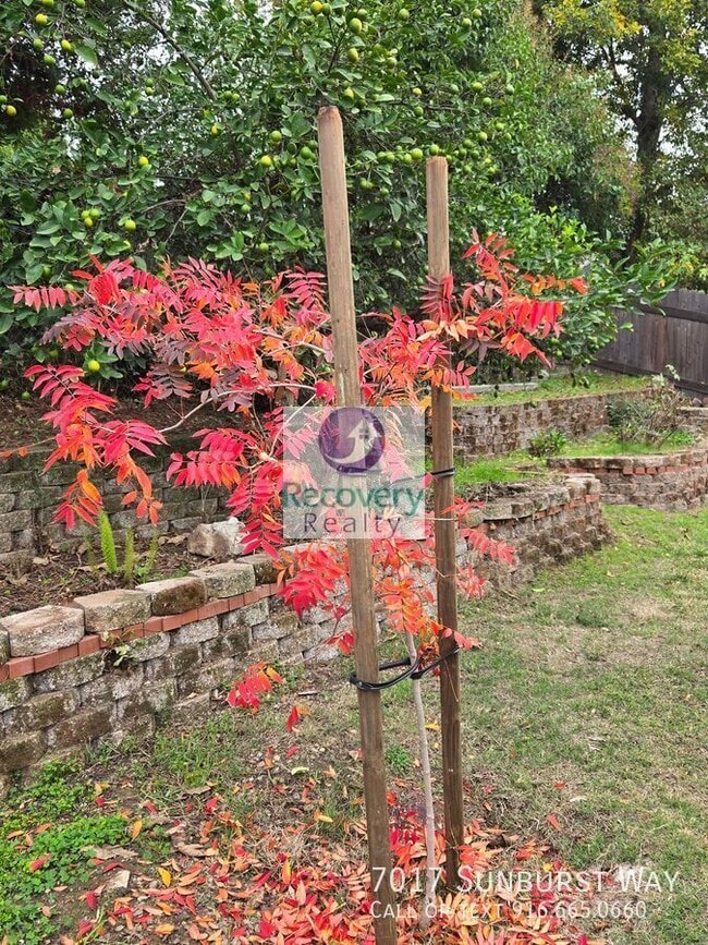 Building Photo - 7017 Sunburst Way