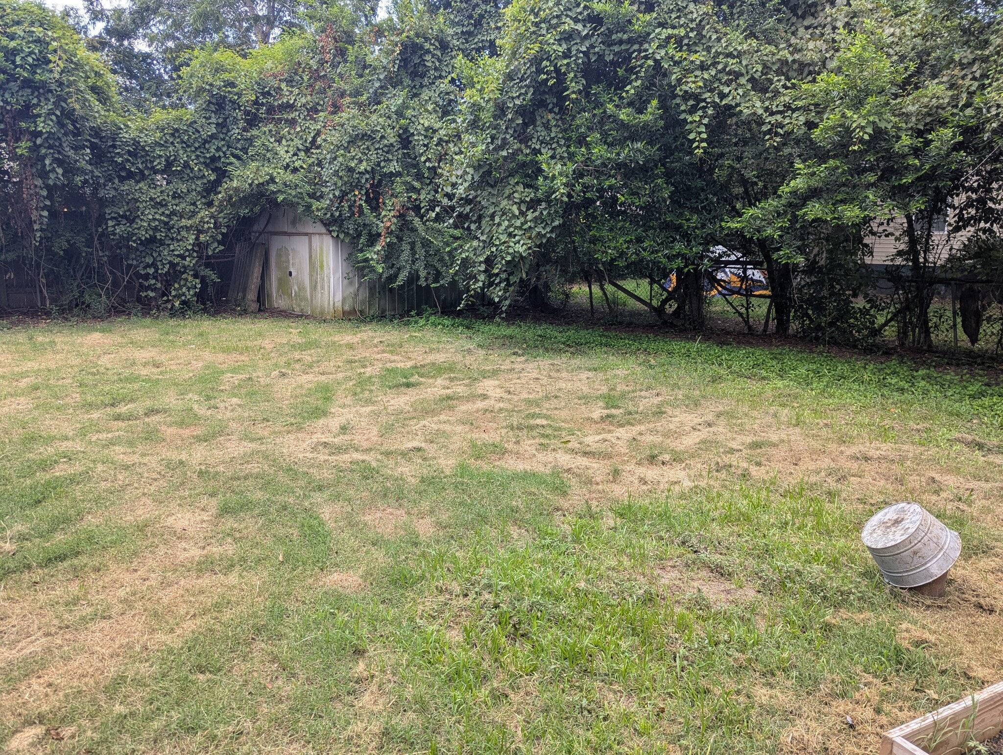 Spacious lawn with a lush, tree-lined perimeter and storage shed. - 1527 Brookbank Ave