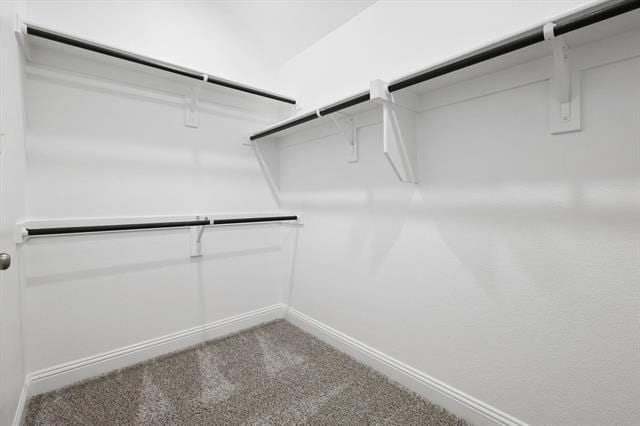 Building Photo - 517 Amenduni Ln